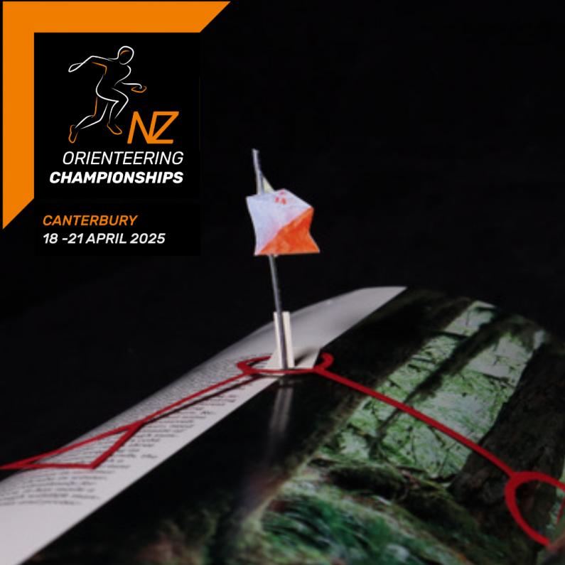 SQ paper cut out control andforest w nats 25 clogo